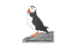 _ 2D Puffin Soft Pvc Fridge Magnet, Personalised Fridge Magnets With Soft Magnet On Back Side