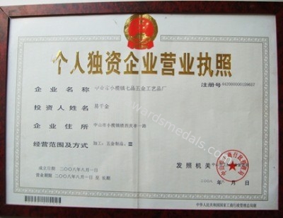 China pins centre company ltd Zertifizierungen